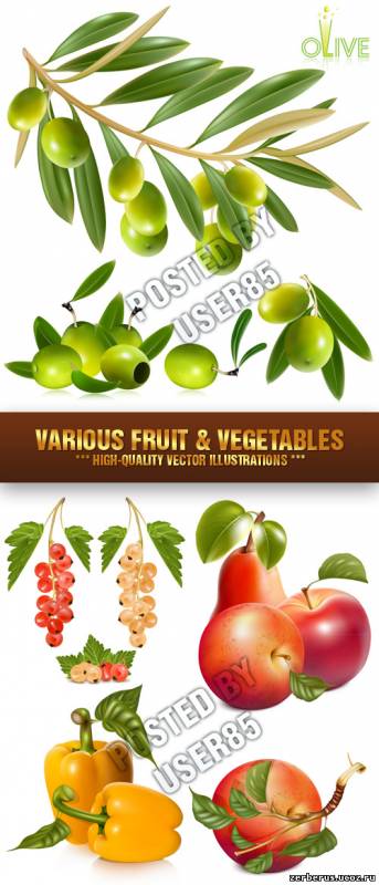 Stock Vector - Овощи и фрукты