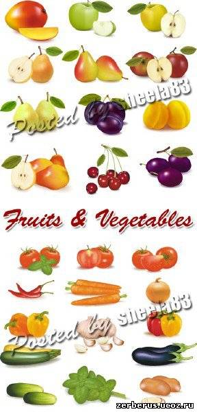 Фрукты и овощи в векторе/Fruits & Vegetables Vector 