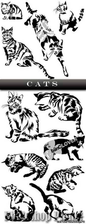 Иллюстрации кошек