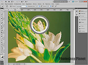 Мини видеокурс по Adobe Photoshop CS5. Изменения в инструменте Кисть и Пипетка Photoshop CS5